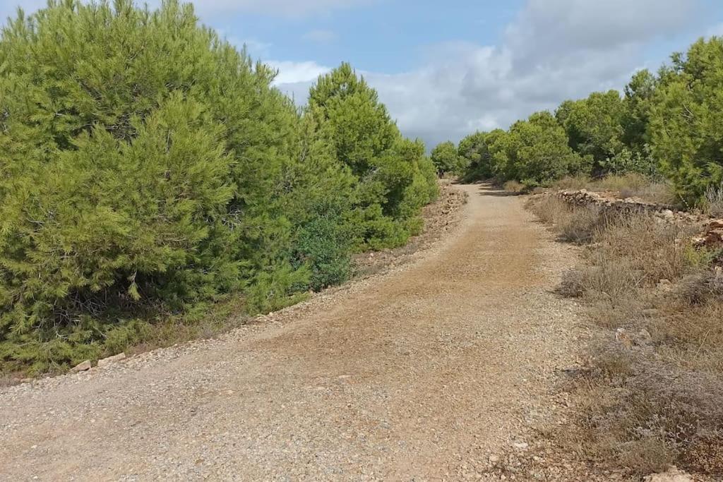 Bungalow En Primera Linea Del Mar Arenales del Sol Zewnętrze zdjęcie