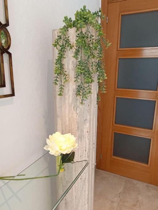 Bungalow En Primera Linea Del Mar Arenales del Sol Zewnętrze zdjęcie